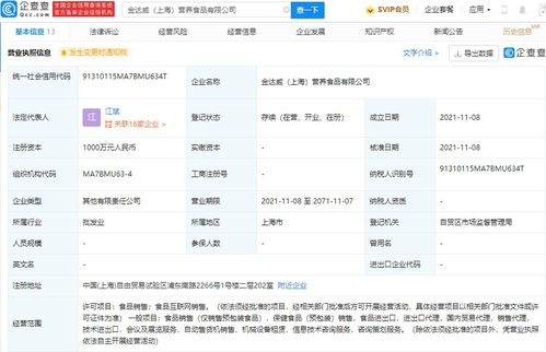 信息咨询服务 在知识海洋中导航的专业灯塔
